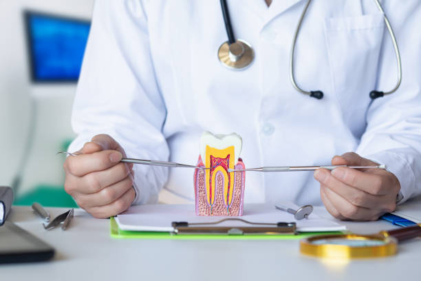 Best Broken or Cracked Tooth Emergency Dentist in Splendora, TX
